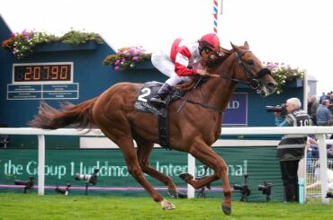 【英G1・インターナショナルS】ダノンデサイル伸びず5着…返し馬から“興奮”海外G1連勝ならず（スポニチアネックス） - Yahoo!ニュース - Yahoo!ニュース
