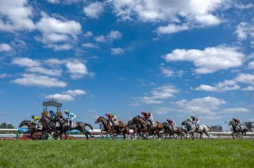 【札幌5R新馬戦結果】エピファネイア産駒グリオンヴールが断然人気に応え7馬身差V（netkeiba） - Yahoo!ニュース - Yahoo!ニュース