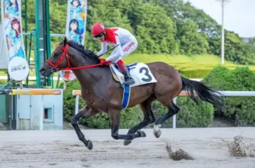【佐賀･九州チャンピオンシップ】24日発走　アエノブライアン重賞3勝目へ！　予想印を公開 - スポニチ Sponichi Annex ギャンブル