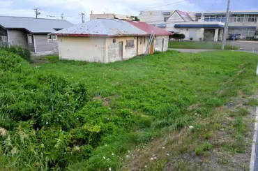 江差のクマ食害「こんなまちなかで」 不安の声高まる 町はハンター巡回を強化 - 北海道新聞デジタル