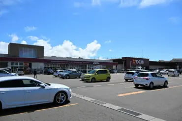 江差のスーパー駐車場にクマ 国道へ移動し姿消す 町北部の商業施設立ち並ぶ地域 - 北海道新聞デジタル