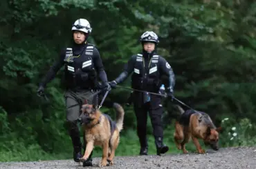 知床・羅臼岳 ヒグマに襲われた男性の捜索再開 安否はなお不明 - 北海道新聞デジタル