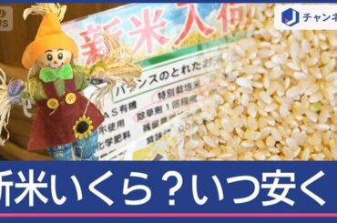 今年の「新米」続々店頭に！いくら？いつ安く？コメのプロ分析