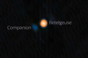 オリオン座のベテルギウス、隠れた伴星が公転している可能性 - CNN.co.jp