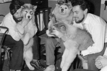 氷河の後退で南極研究者の遺体発見、６６年前に行方不明 - CNN.co.jp