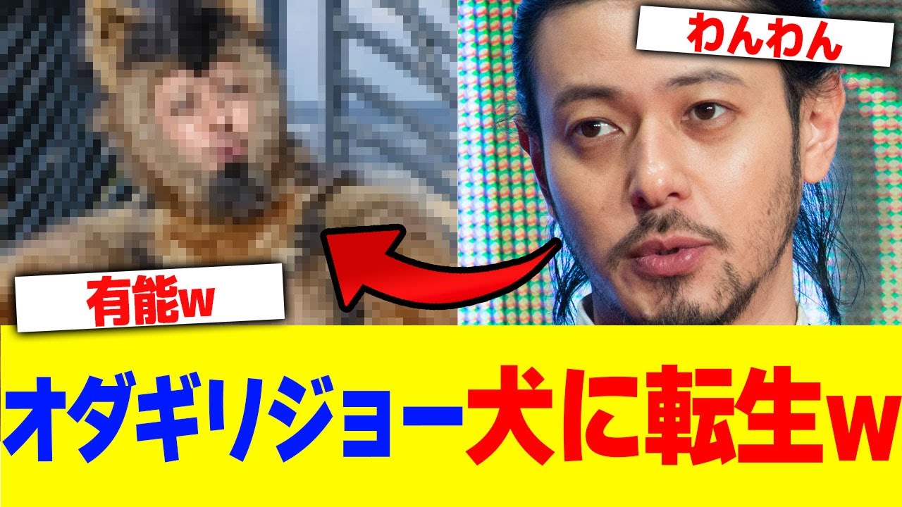 オダギリジョーが犬に転生www【2chまとめ】【2chスレ】【5chスレ】