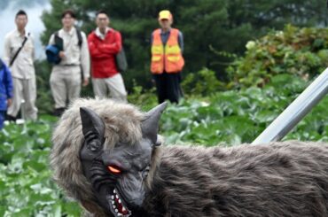 「お前だけは許さない」 山形市に農作物守る「モンスターウルフ」 - 毎日新聞
