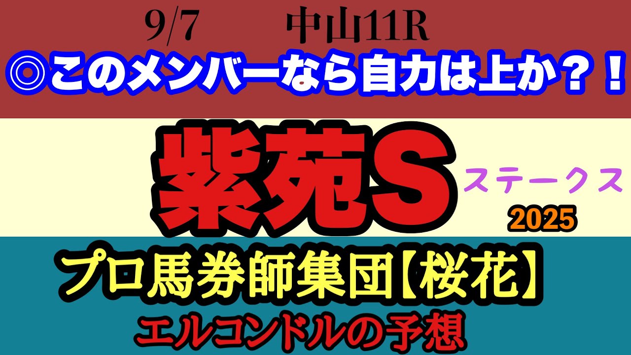 エルコンドル氏の紫苑ステークス2025予想!!桜花賞3着のリンクスティップが出走!小頭数のレースになったとはいえ秋華賞に向けた3つの椅子をかけた闘いは激戦必至!