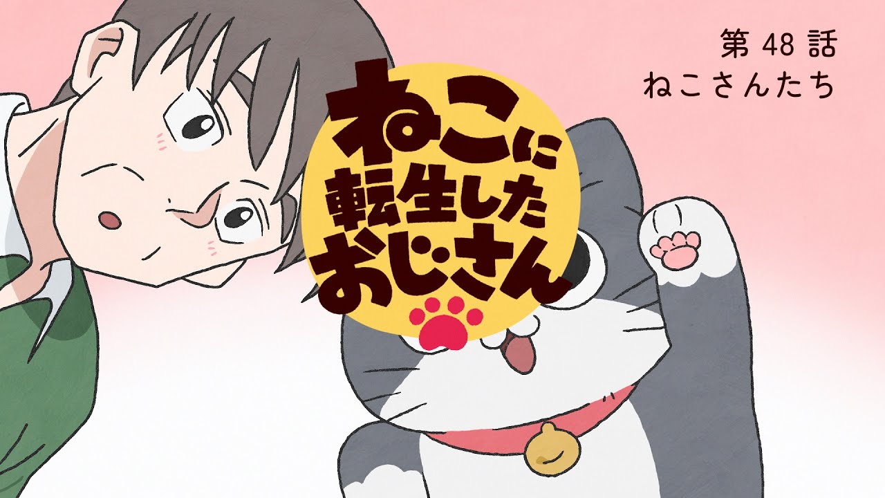 TVアニメ『ねこに転生したおじさん』第48話【期間限定見逃し配信】※2025年9月15日(月)13時59分まで