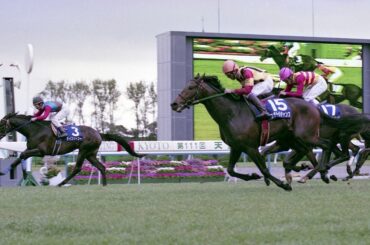 本命馬を付け狙う「黒い刺客」、ライスシャワー、生涯成績25戦6勝でも3度のG1に勝利したステイヤーの波乱の生涯 「あの日」の名馬伝説（24）(1/3) | JBpress (ジェイビープレス)