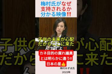 梅村氏がなぜ支持されるか分かる映像‼️＃shorts ＃梅村みずほ ＃参政党 ＃政治 ＃議員