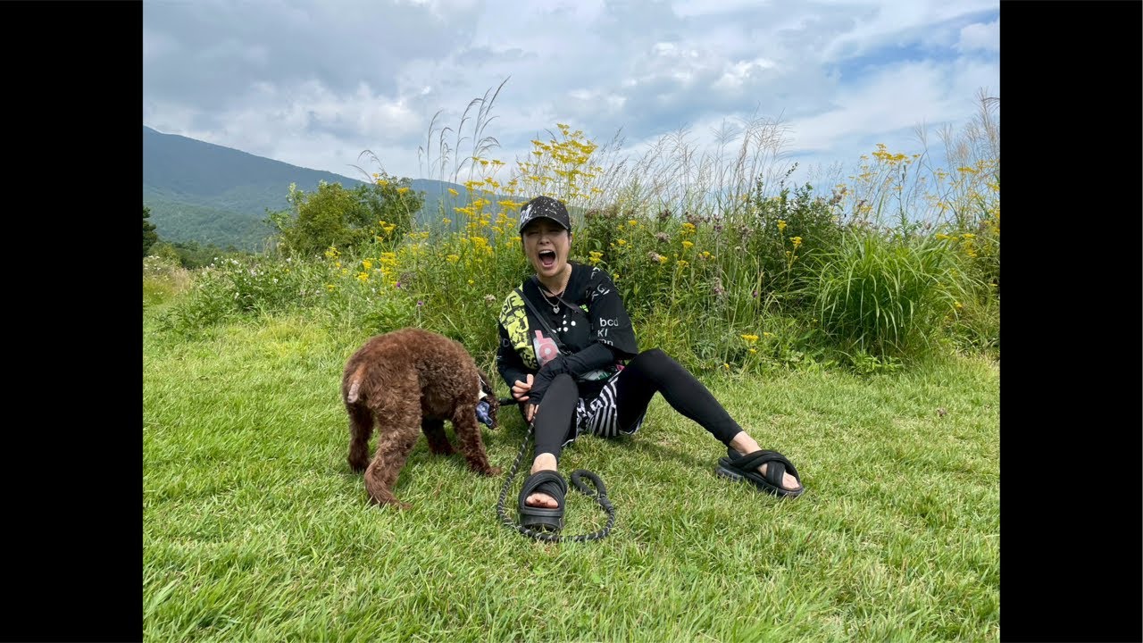 小向・雑談・生配信中!