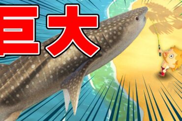 【あつまれ どうぶつの森】超巨大な生物だらけのビンゴ対決！！