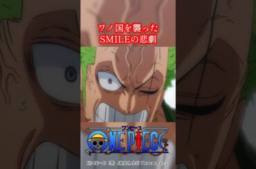 ワノ国を襲ったSMILEの悲劇に絶句するゾロ【ワンピースMAD】【泣けるシーン】#ワンピース #onepiece