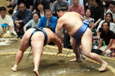 突き落としで玉鷲を破った大の里（撮影・たえ見朱実）
