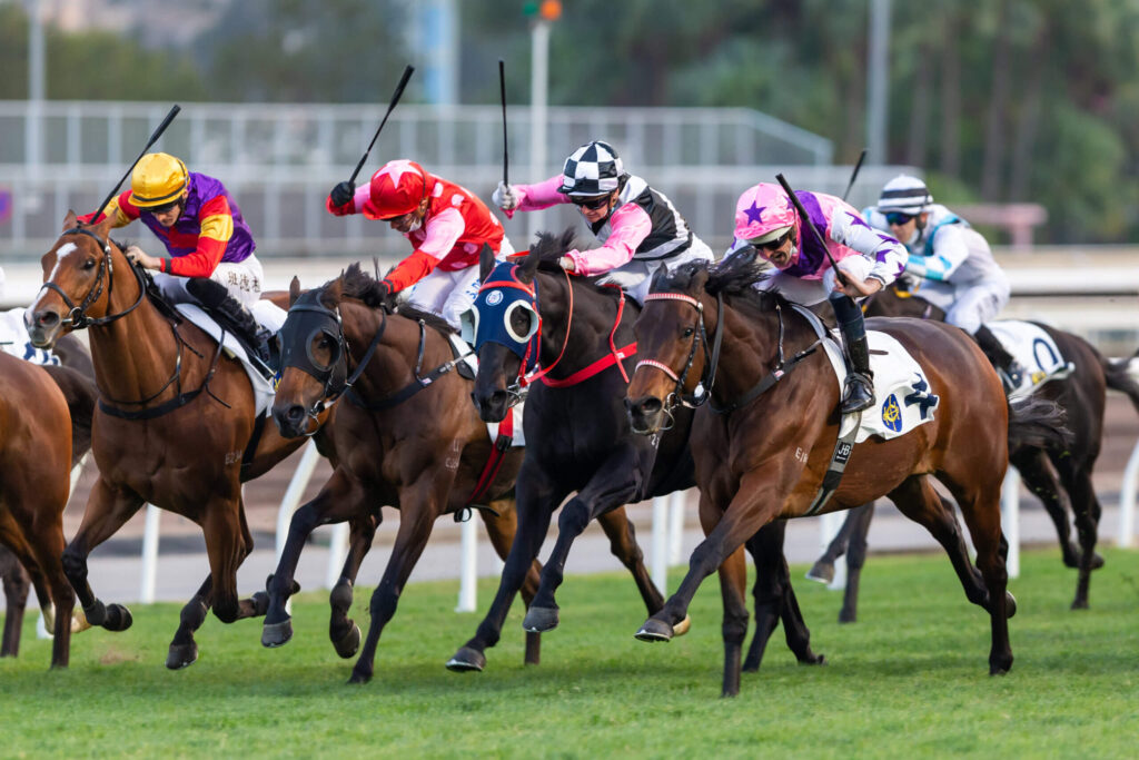 香港競馬の鞭使用ルールが改正、国際基準に近い規則を導入へ - Idol Horse
