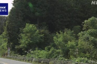 長野 大桑村の山林でクマに襲われ男性けが 伐採作業中 - nhk.or.jp