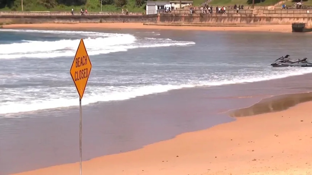 サメの襲撃があったシドニーの海岸/Reuters