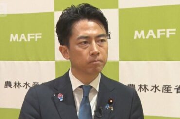 新米価格が高騰、農家は「コメ離れ」危惧　小泉農水大臣「冷静になって」