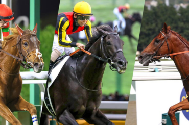 レース概要・過去結果 | 2025凱旋門賞 | JRA-VAN World