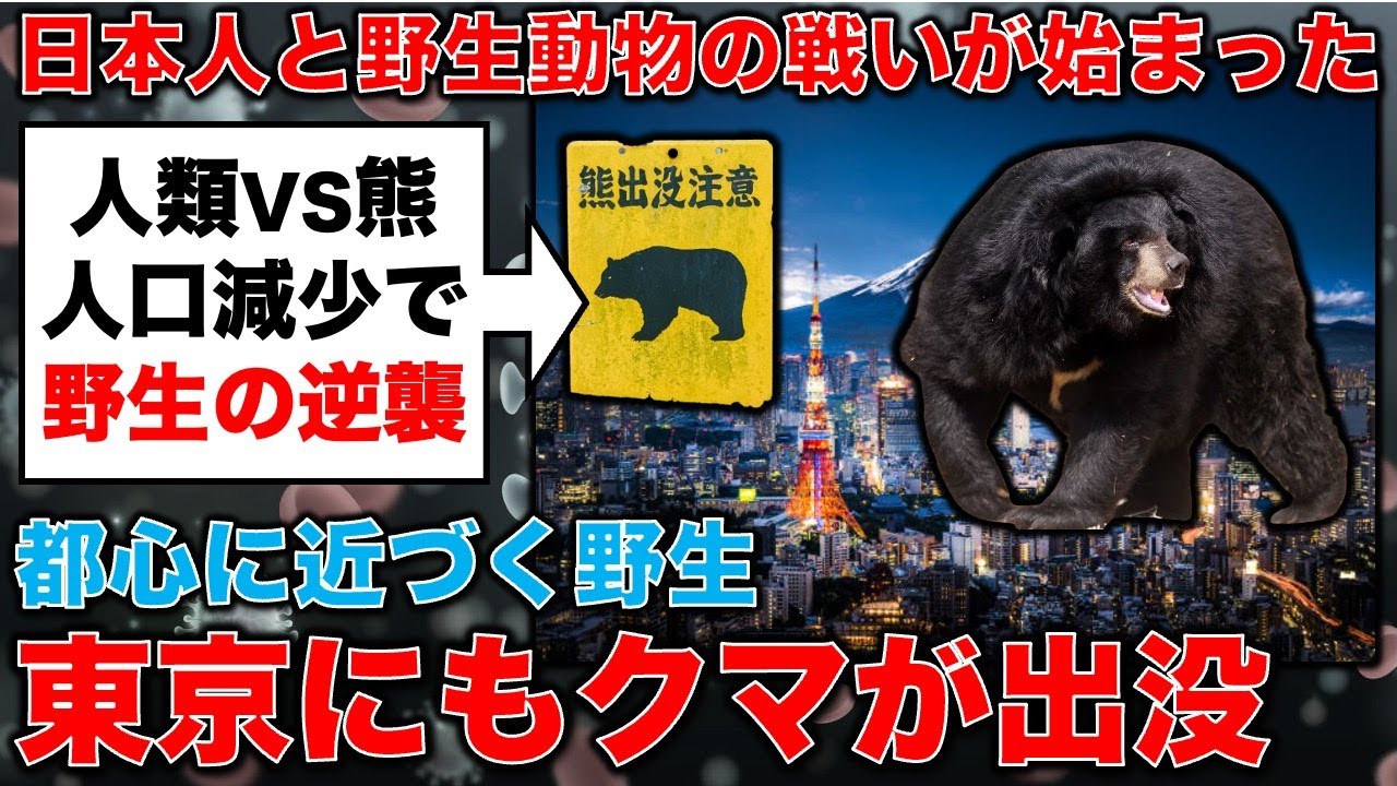 東京にもクマが!都心に近づく野生の熊。日本人VS野生動物の戦い。クマ研究者・兵庫県立大学横山真弓教授。安冨歩東京大学名誉教授。一月万冊