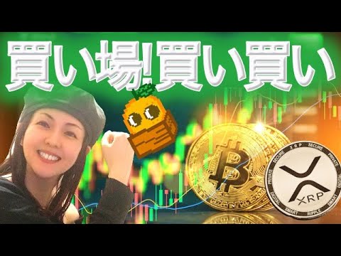 ビットコイン今月中に14万ドルか XRP 安値切り上げの展開に期待