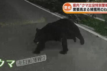 【クマ映像】車に衝突…用水路には3頭　需要高まる捕獲用わな《新潟》