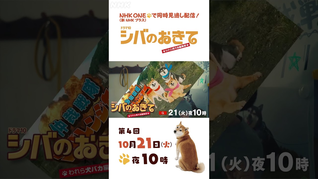 【ドラマ10 シバのおきて】大東駿介 飯豊まりえ 第4回 15秒PR | NHK | #shorts