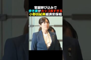 【頼もしい】官邸呼び込みでのカッコ良すぎる小野田紀美の歩き姿【自民党】