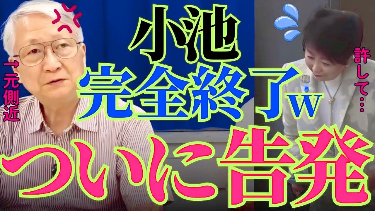 小池百合子が大慌て‼︎元側近に全部バラされて逮捕が確定しました【小池都知事 都民ファースト 青山繁晴】 mp4