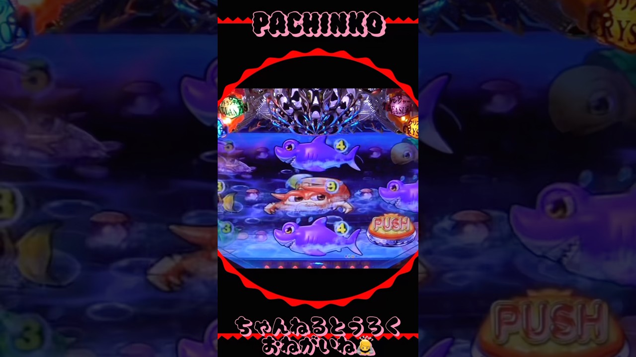 大海物語withアグネスラム!2025年10月24日