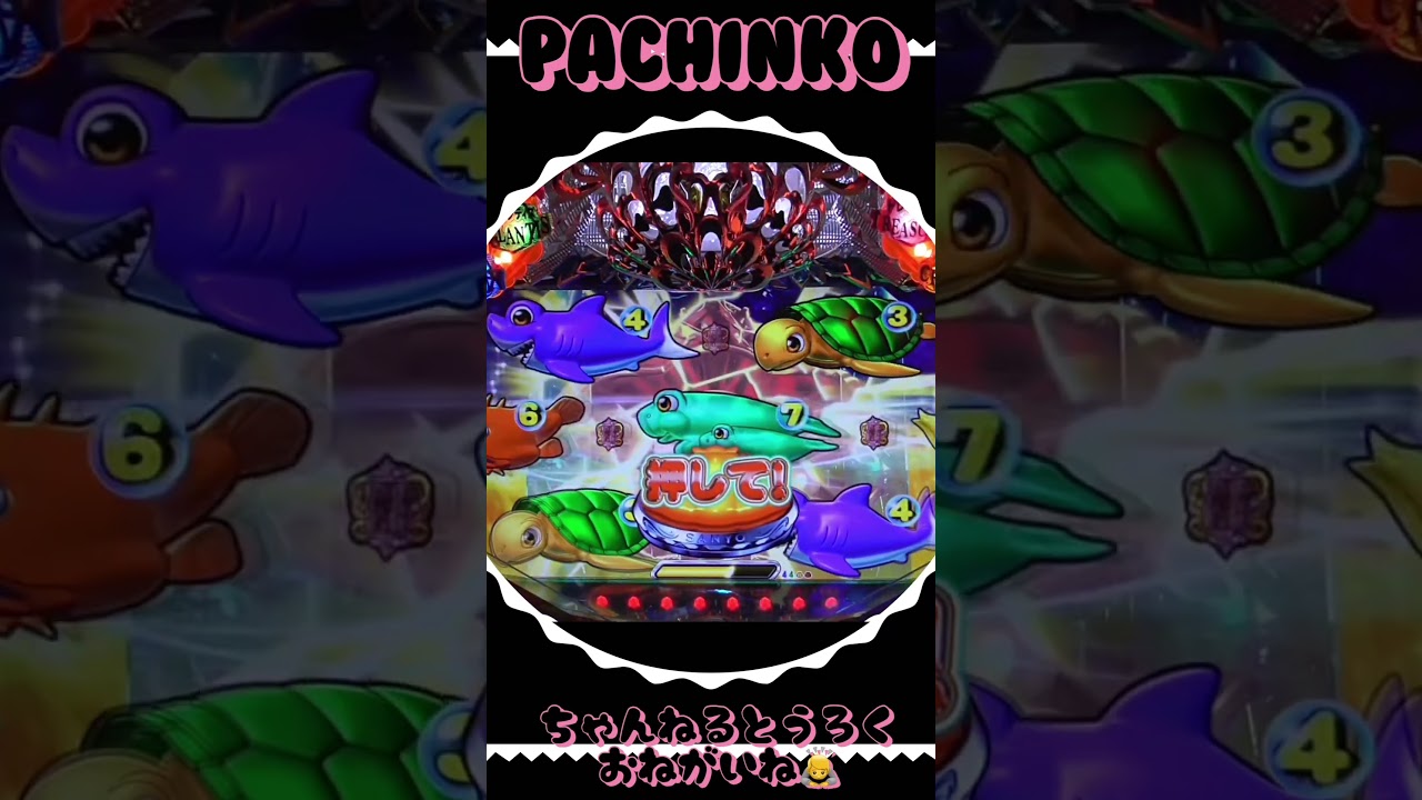 大海物語withアグネスラム!2025年10月30日