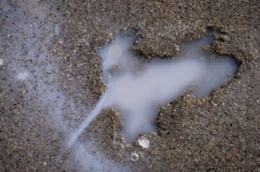 歩道に残った「ネズミ形」の謎、真犯人がついに判明　米シカゴの観光名所、専門家が調査 - CNN.co.jp