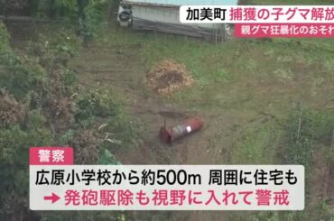 わなにかかった子グマのそばを親グマが離れず　約３時間後に解放　現場は小学校から約５００メートル