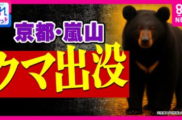京都・嵐山で4日間に6回のクマ目撃！全国で死者10人　新たな対策「ガバメントハンター」とは｜旬感LIVE とれたてっ!〈カンテレNEWS〉