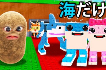 海にいるブレインロットだけを盗んで100兆円稼ぐロブロックス (Roblox)