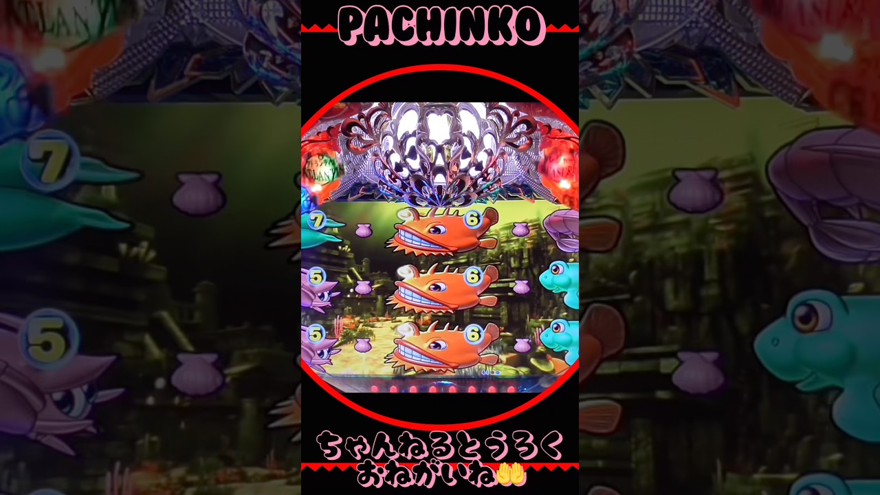 大海物語withアグネスラム!2025年11月7日