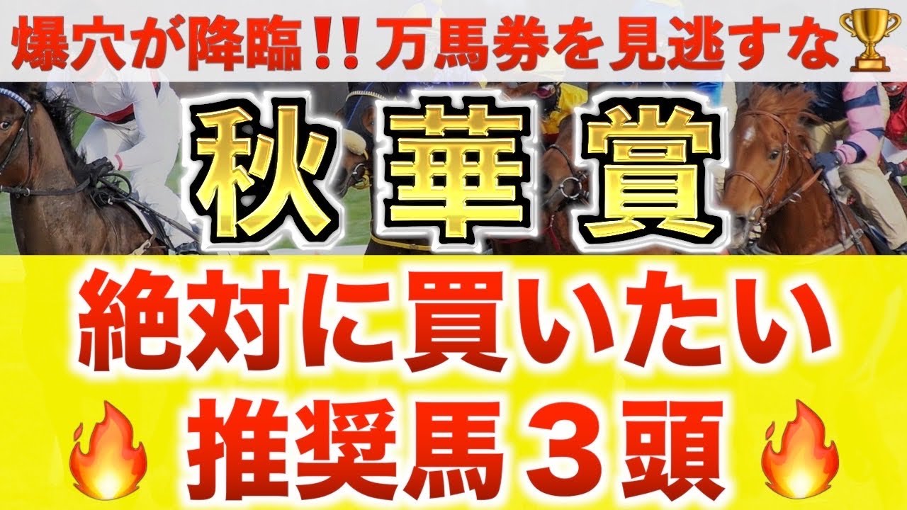【秋華賞2025 予想】ジョスラン過去最高のデキ?プロが”全頭診断”から導く絶好の3頭!