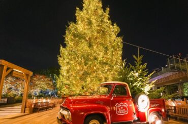 東京ミッドタウン「ラルフ ローレン」のクリスマスイベント、もみの木ツリー＆ポロベアの写真スポットなど - ファッションプレス