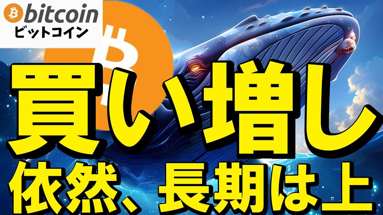 【仮想通貨 ビットコイン】乱高下でも安心!相場は自分のリスク許容度に合った付き合い方でOK(朝活配信2022日目 毎日相場をチェックするだけで勝率アップ)【暗号資産 Crypto】