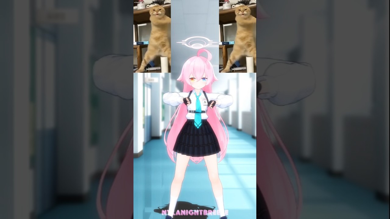 Hoshino 猫ダンスミーム Cat Dance Meme | Blue Archive MMD #hoshino #bluearchiveglobal #猫ダンスミーム