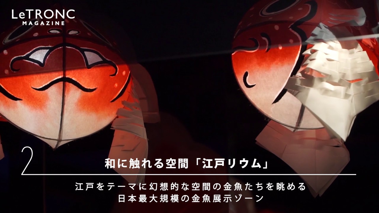 大人のための癒し空間♡ 「すみだ水族館」で非日常への世界へとトリップ!
