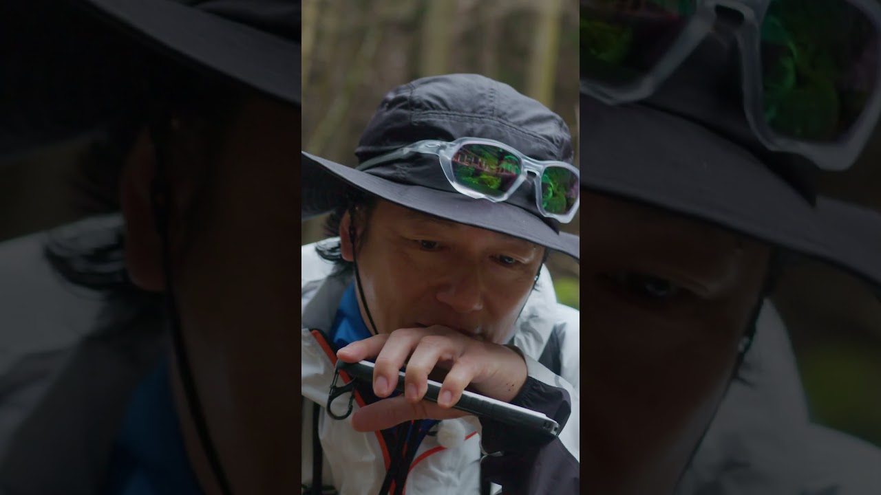 足下に咲く小さな花を発見。#山歩しよう#吉岡里帆 #井浦新