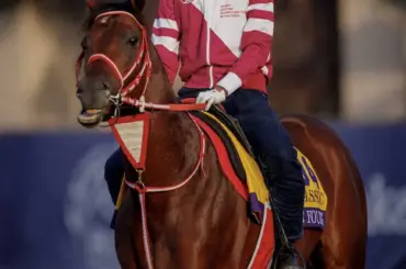 フォーエバーヤング、アルジーヌなど米BC出走のJRA所属馬7頭が帰国　輸入検疫のためJRA競馬学校へ - スポニチ Sponichi Annex ギャンブル