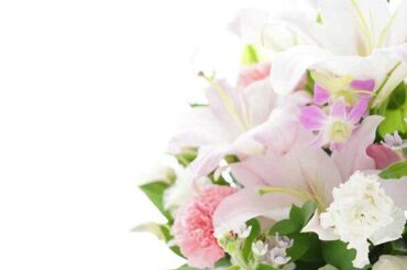モデル・永江りりさん、不慮の事故で死去 父親が報告「この現実を受け入れられずにおります」 - au Webポータル