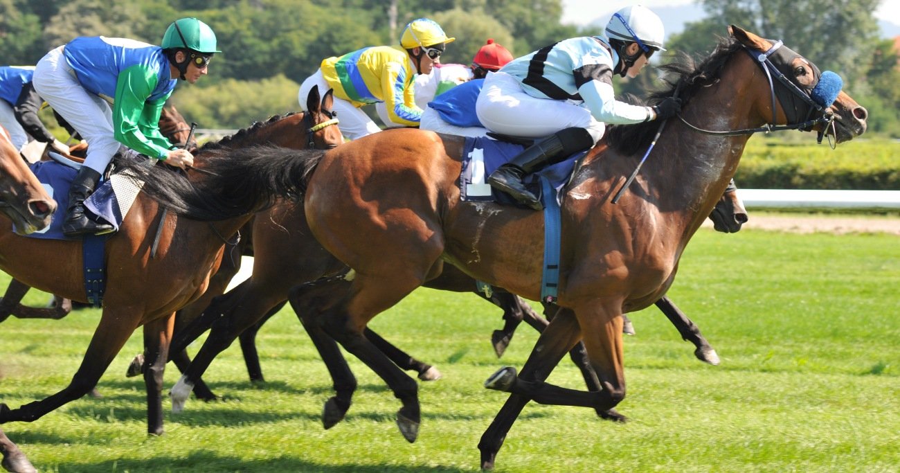 競馬で稼いだ68万円が20年後の人生を変えた話 | DIE WITH ZERO 競馬で稼いだ68万円が20年後の人生を変えた話 | DIE WITH ZERO