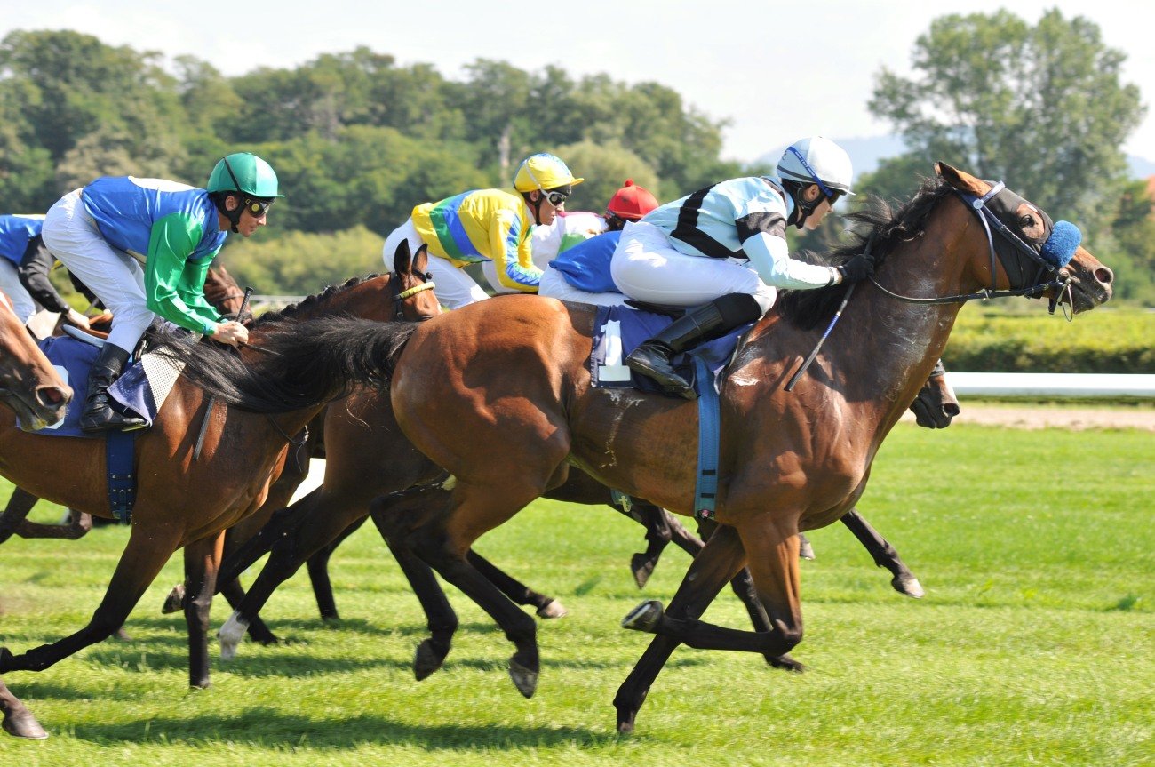 競馬で稼いだ68万円が20年後の人生を変えた話