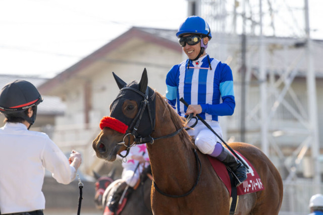 武豊騎手 今週の騎乗馬…土日京都で12鞍