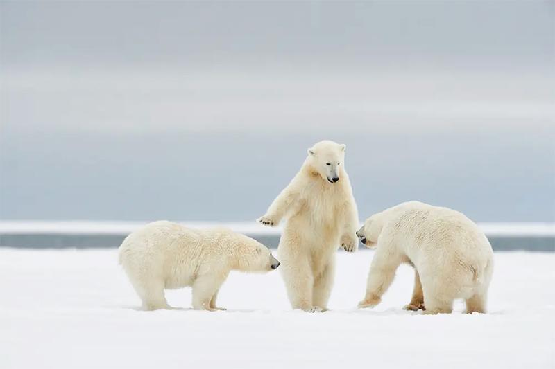 『おい、ちょっと待て』