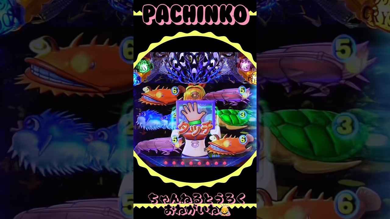 大海物語withアグネスラム!2025年12月2日